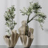Rośliny doniczkowe Mission Olive Tree Indoor Vase 01 - Pandora-land