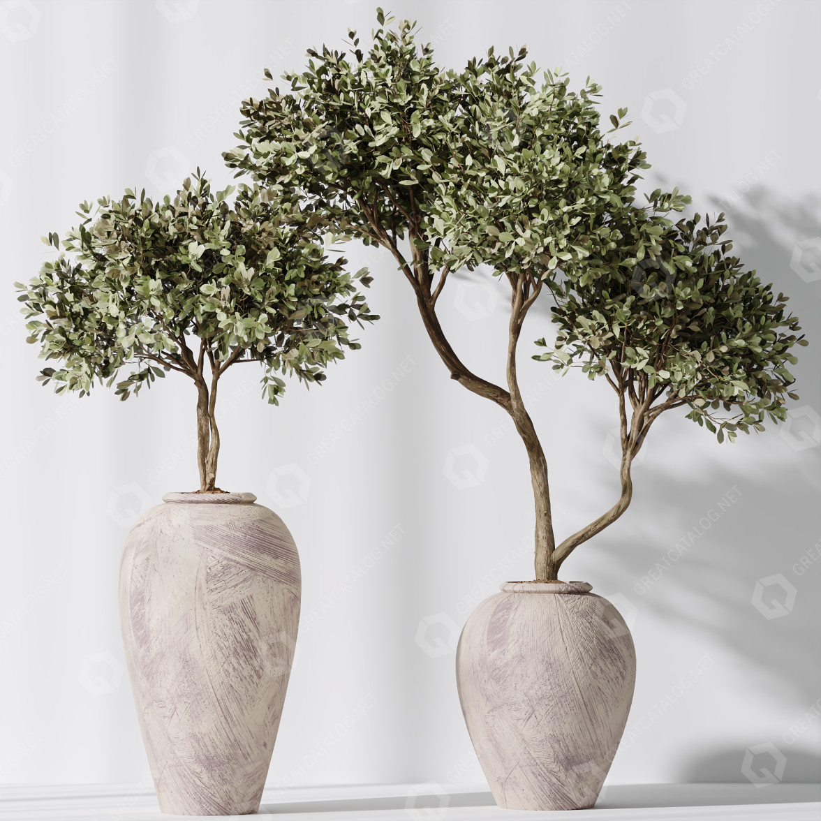 Topfpflanzen Mission olivenbaum indoor vase 02 3D-Modell #36619 |  GreatCatalog