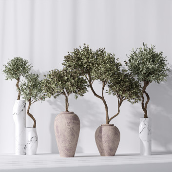 Rośliny doniczkowe  Mission Olive Tree Indoor Vase 02 Model 3D