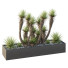 Árbol y arbustos HQ Caja de Jardín Exterior Volumen 23 - Pandora-land