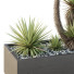 Árbol y arbustos HQ Caja de Jardín Exterior Volumen 23 - Pandora-land