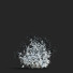 Flowers Gillenia Trifoliata - valeriy korol ld