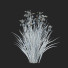 Flowers Iris Sibirica - valeriy korol ld