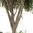 Plantes et bancs HQ Ensemble environnement urbain Vert 06 - Pandora-land