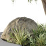 Plantes et bancs HQ Ensemble environnement urbain Vert 06 - Pandora-land