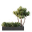 Palmy i krzewy HQ Garden Box Outdoor Vol 22 - Pandora-land