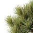 Palmy i krzewy HQ Garden Box Outdoor Vol 22 - Pandora-land