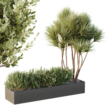 Palmy i krzewy HQ Garden Box Outdoor Vol 22