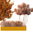 Palmy i krzewy HQ Garden Box Outdoor Vol 22 - Pandora-land