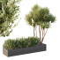 Palmy i krzewy HQ Garden Box Outdoor Vol 22 - Pandora-land