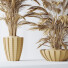 Rośliny doniczkowe HQ Areca Majesty Cat Reed Palm Set 04 - Pandora-land