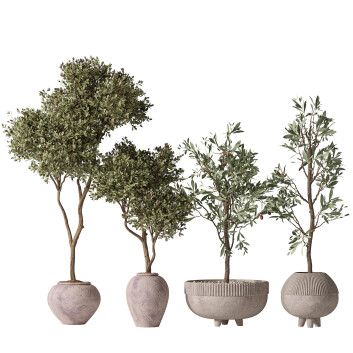 Rośliny doniczkowe  Mission Olive Tree Indoor Vase 06 Model 3D