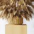 Rośliny doniczkowe HQ Areca Majesty Cat Reed Palm Set 05 - Pandora-land
