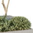 Tree and Bushes HQ Garden Box Outdoor VOL 29 - Pandora-land