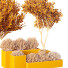 Tree and Bushes HQ Garden Box Outdoor VOL 29 - Pandora-land