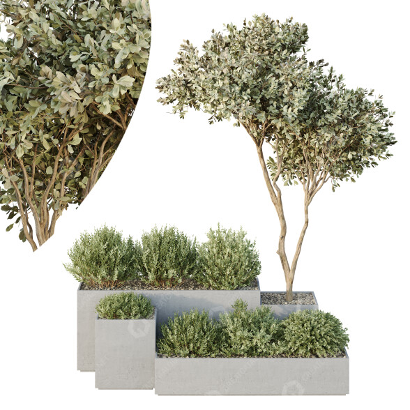 Tree and Bushes HQ Garden Box Outdoor VOL 29 3D model