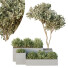 Tree and Bushes HQ Garden Box Outdoor VOL 29 - Pandora-land