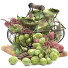 Фрукти Basket of Grapes - Pro