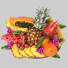 Fruits Bowl of Exotic Tropical - Pro