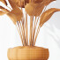 Rośliny doniczkowe HQ Calathea Lutea Cuban Cigar Set 01 - Pandora-land