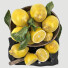 Fruits Bowl of Lemons - Pro