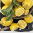 Fruits Bowl of Lemons - Pro