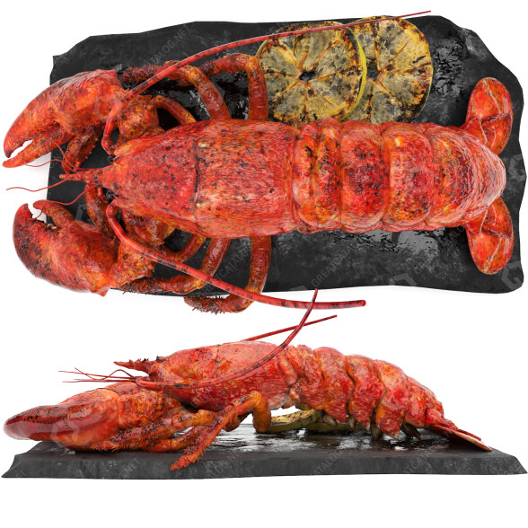 Homard Set with Lemon modèle 3D