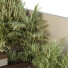 Escalera y plantas HQ Caja de Jardín Exterior Volumen 31 - Pandora-land