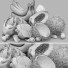 Fruits Tropical Exotic - Pro
