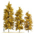 Trees Fall Maidenhair Ginkgo - Pandora-land