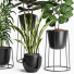 Plantas en macetas Conjunto de interior 16 - farshidtavakoli