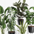 Plantas en macetas Conjunto de interior 16 - farshidtavakoli
