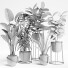 Plantas en macetas Conjunto de interior 16 - farshidtavakoli