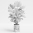 Planta en maceta Interior 21 Palmera de abanico china - farshidtavakoli