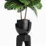 Planta en maceta Interior 14 Fiddle - farshidtavakoli