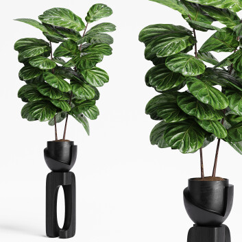 Planta en maceta  Interior 14 Fiddle Modelo 3D