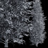Árboles Carpinus Betulus 01 - Pandora-land