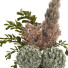 Blumenstrauß Getrocknet und Pampas - goddess363-42139