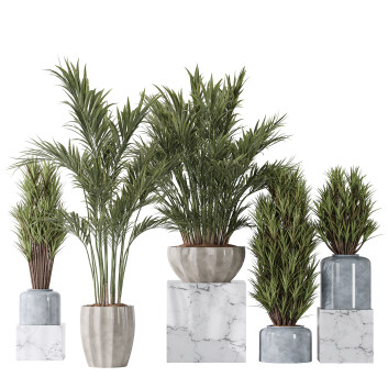 Rośliny doniczkowe  Areca Majesty and Yucca Elephantipes Vase 10 Model 3D