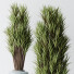 Rośliny doniczkowe Areca Majesty and Yucca Elephantipes Vase 10 - Pandora-land