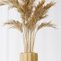 Rośliny doniczkowe Areca Majesty and Yucca Elephantipes Vase 10 - Pandora-land