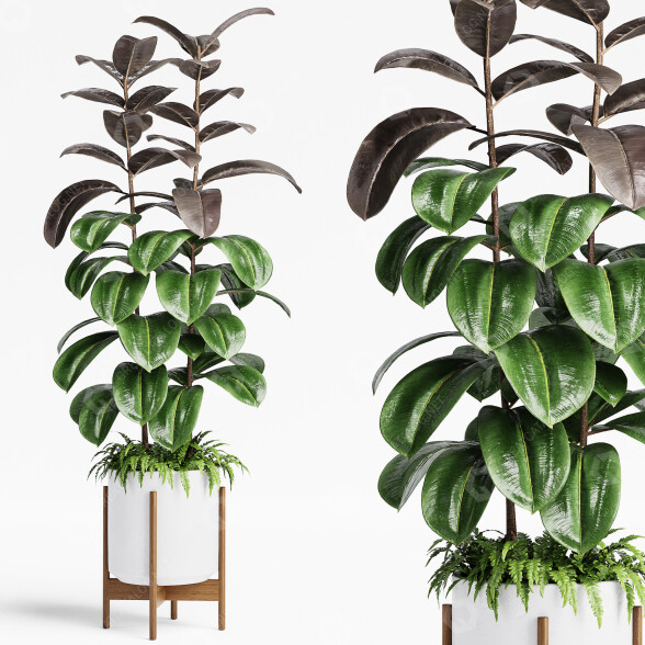 Planta en maceta Plantas de interior 19 Modelo 3D