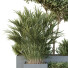 Drzewa i krzewy HQ Garden Box Outdoor Vol 28 - Pandora-land