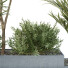 Drzewa i krzewy HQ Garden Box Outdoor Vol 28 - Pandora-land