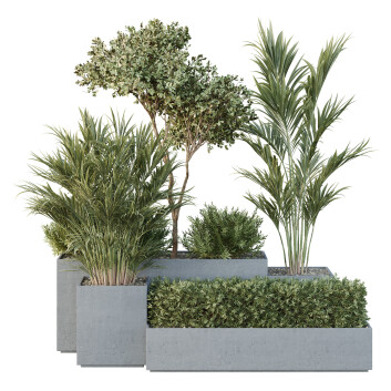 Drzewa i krzewy HQ Garden Box Outdoor Vol 28