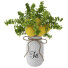 Blumenstrauß Zitrone in vase - goddess363-42139