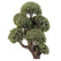 Árbol Pino - goddess363-42139