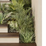 Сходи та рослини HQ Tree and Bush Garden Box Outdoor Vol 30 - Pandora-land