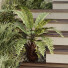 Сходи та рослини HQ Tree and Bush Garden Box Outdoor Vol 30 - Pandora-land