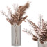 Blumenstrauß Dekorative Pampas - AnimixStudio